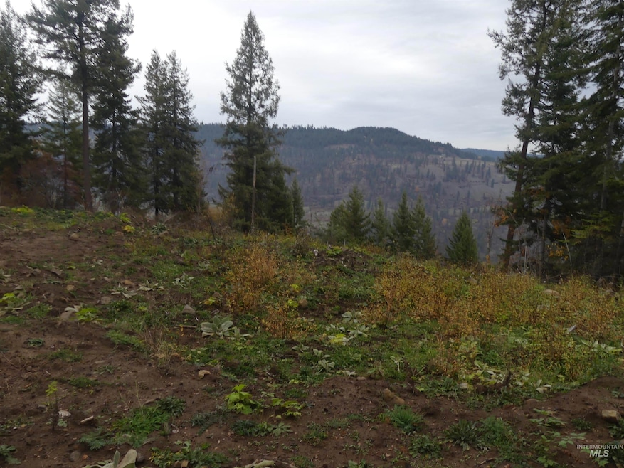 1684 Tranquil Lane (#1), Orofino, ID 83544 - photo 1