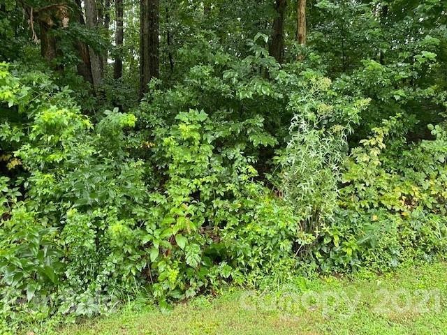 000 Robinhood Loop unit 16,17, Statesville, NC 28625 - photo 1