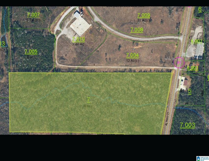 0 Alabama Highway 77 unit 42 Acres 21413831, Ohatchee, AL 36271 - photo 1