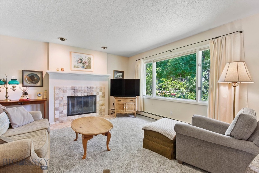 503 S 8th Ave, Bozeman, MT 59715 - photo 1