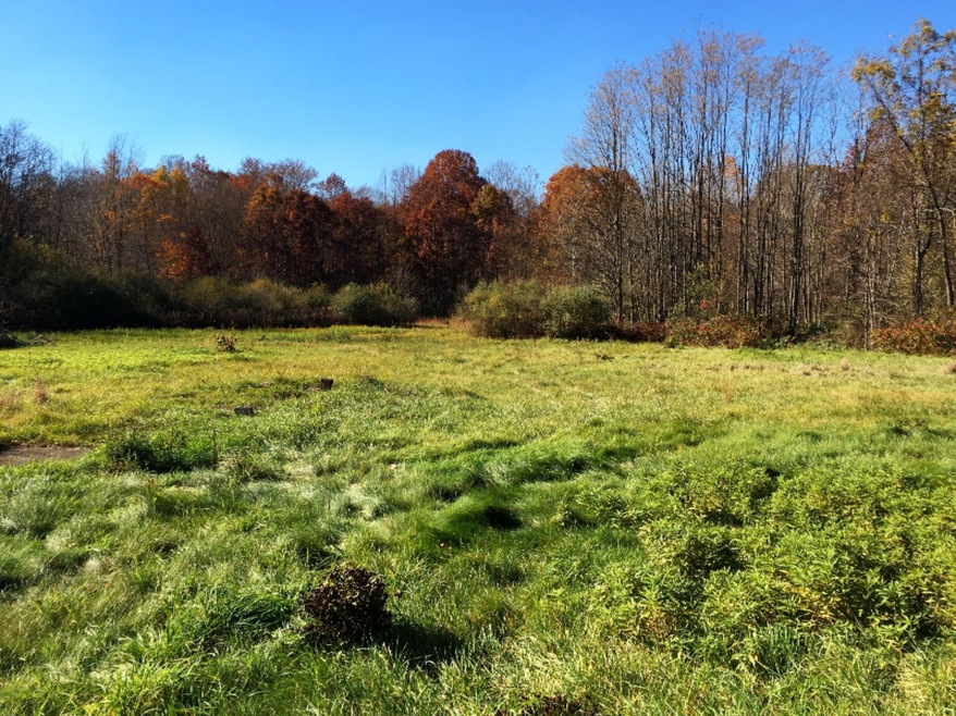 12488 Baldwin Rd, Sawyer, MI 49125 - photo 1