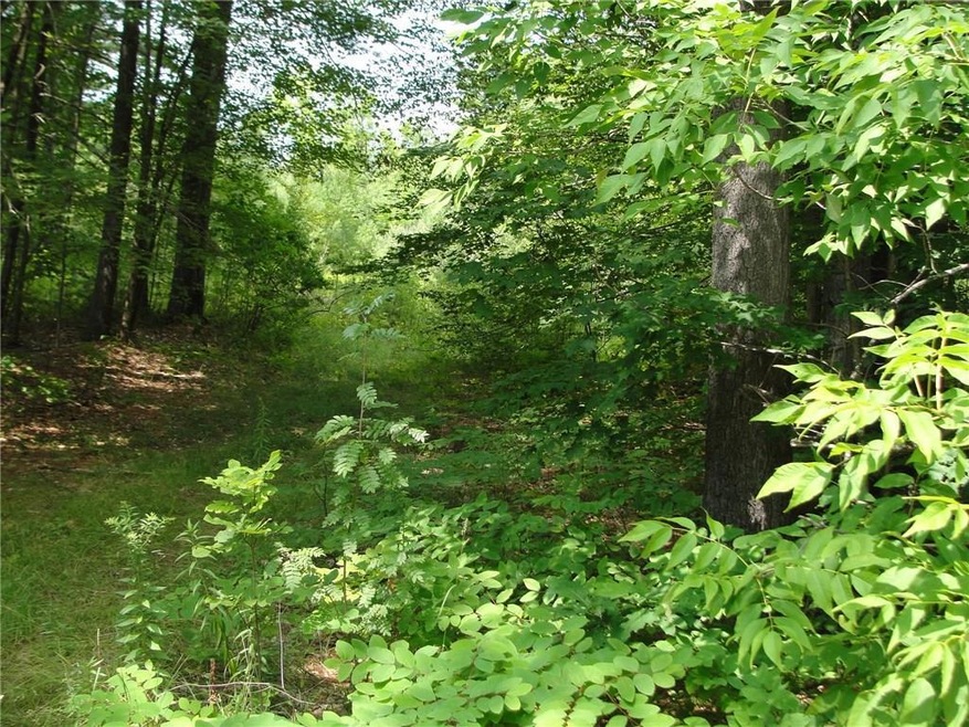 0 S South Bridgton Rd unit 1320484, Bridgton, ME 04009 - photo 1