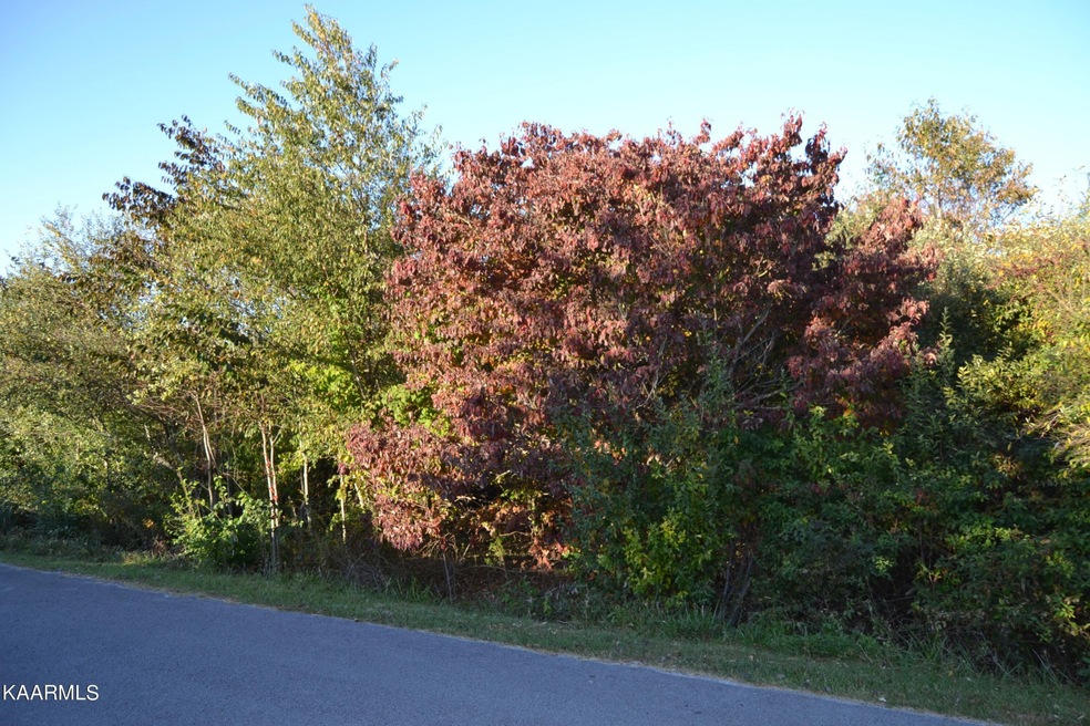 0 Woodgate Drive Lot 13, Crossville, TN 38571 - photo 1