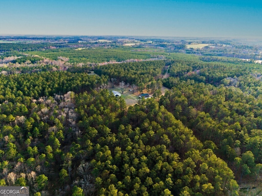 9418 Donnell Rd, Cobbtown, GA 30420 - photo 1