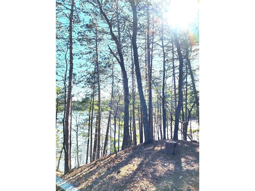 Lot 26 10th Ave, Chetek, WI 54728 - photo 1