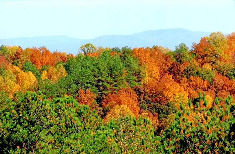 0 Crow Valley Rd unit RTC2724132, Dalton, GA 30720 - photo 1