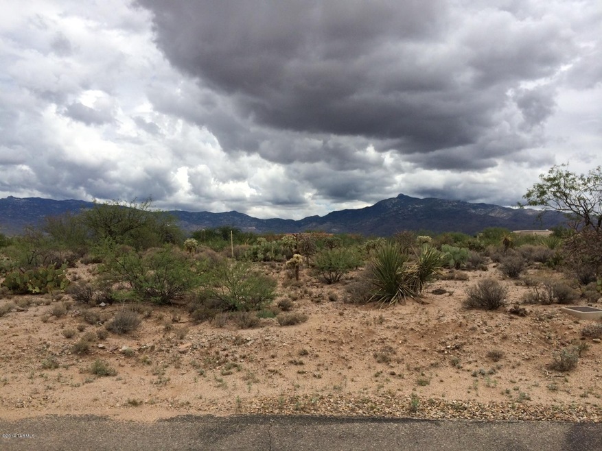 Panoramic Views