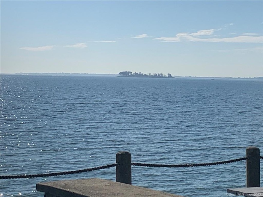 View of Charles Island from your private picnic ar