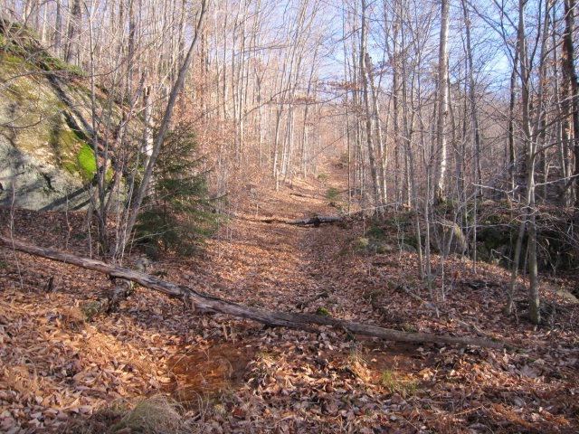 Main View