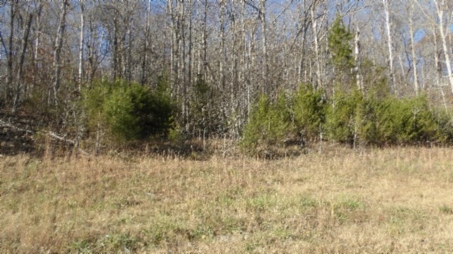 0 Cheyenne Dr unit RTC2769143, Jamestown, TN 38556 - photo 1