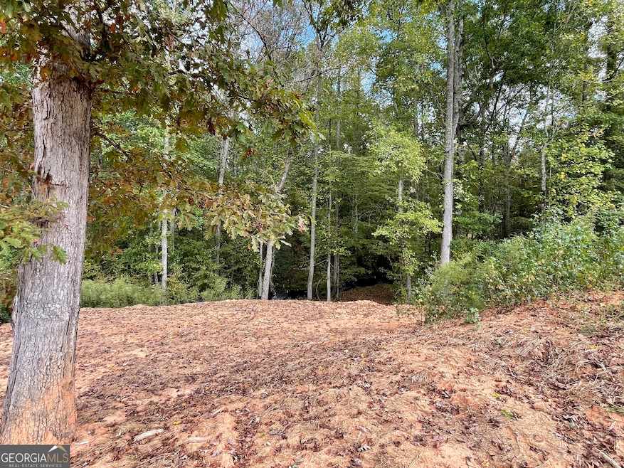 110 Oak Forest Dr, Oxford, GA 30054 - photo 1