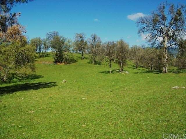 Gorgeous usable land
