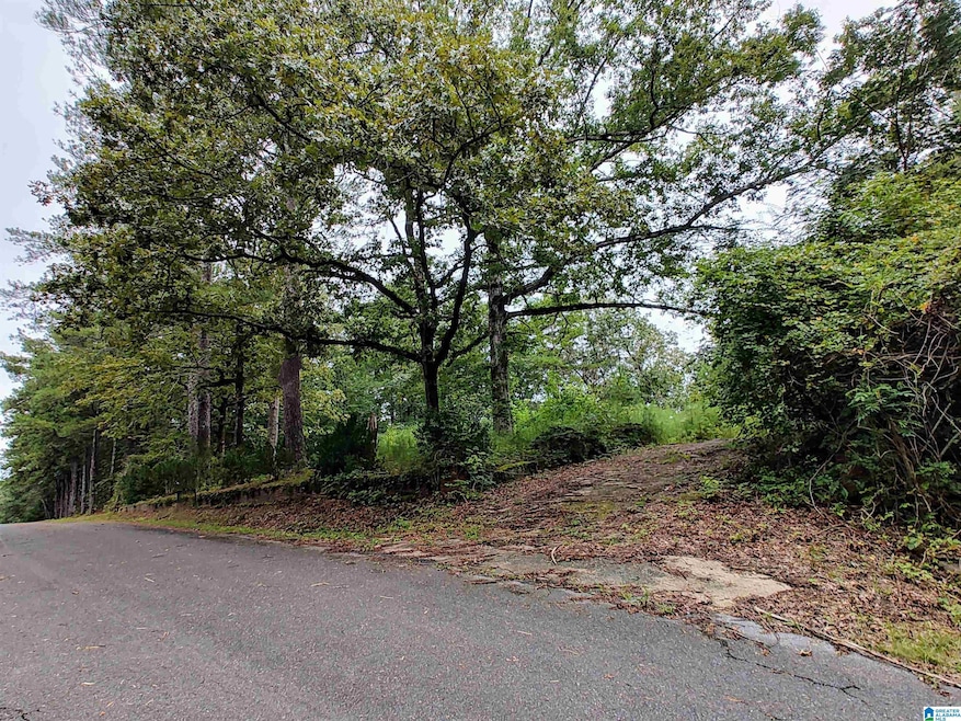 160 Circle Dr NE unit 18 & 19, Pell City, AL 35128 - photo 1