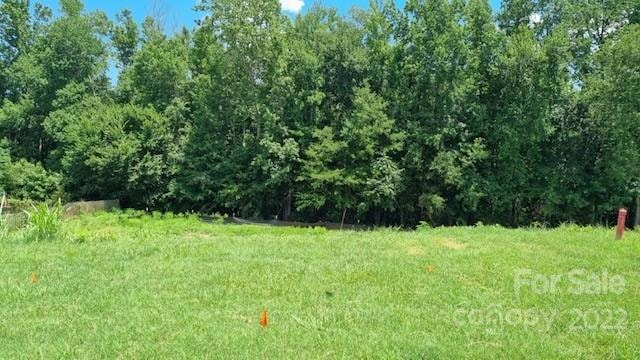 4020 Hereford Ln unit 53, Dallas, NC 28034 - photo 1