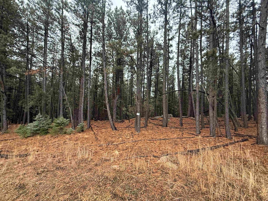 Lot 80 San Juan Dr, Angel Fire, NM 87710 - photo 1