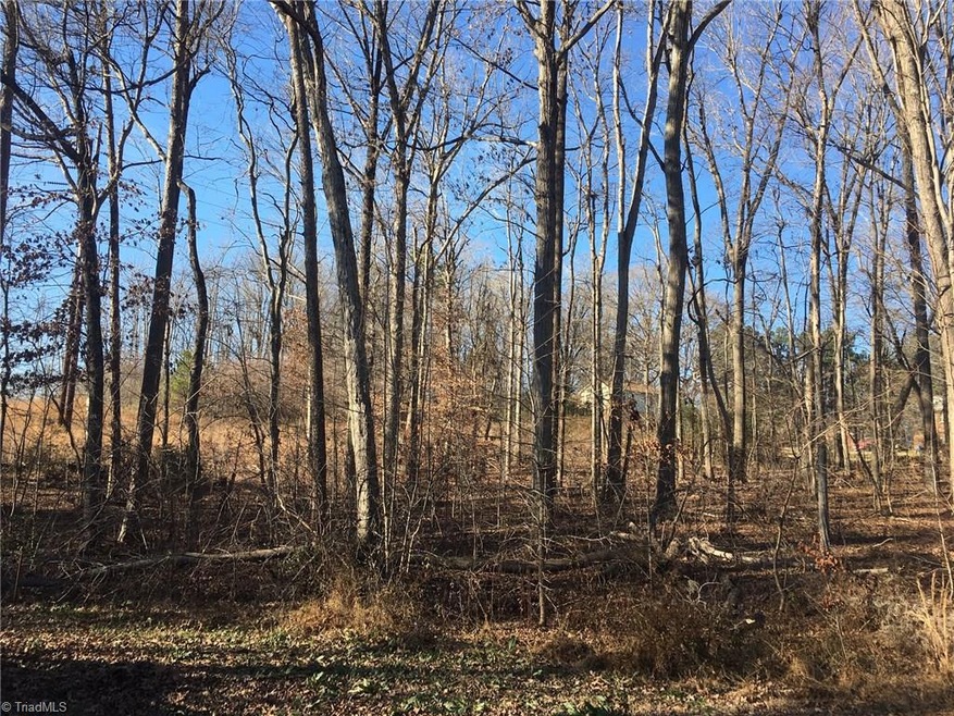 Lot 1 Hazelwood St, Asheboro, NC 27205 - photo 1