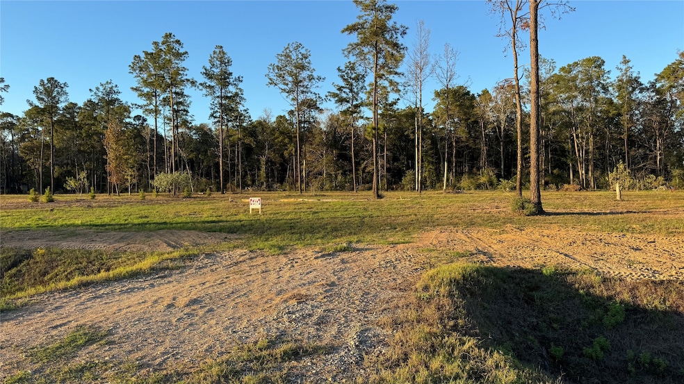 20039 Kincaid Dr, Conroe, TX 77306 - photo 1