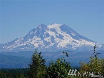 103 390th St S, Roy, WA 98580 - photo 1