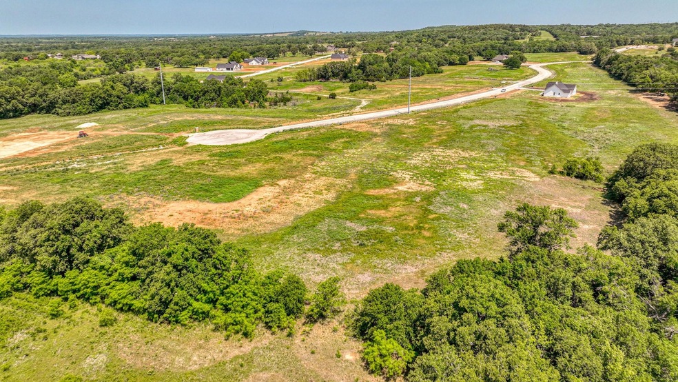 Lot 40 Leo Ln, Poolville, TX 76487 - photo 1