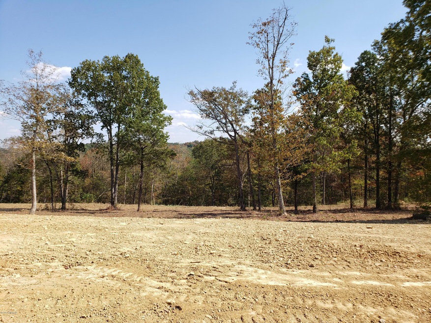 20 Kilner Goodlet Ct, Mount Washington, KY 40047 - photo 1