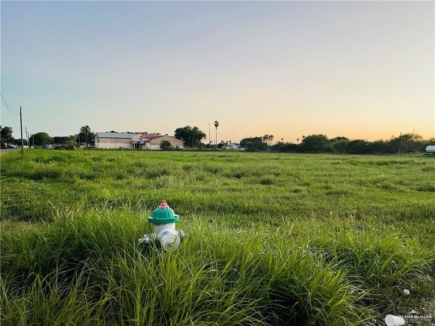 1601 Miller Ave, Donna, TX 78537 - photo 1