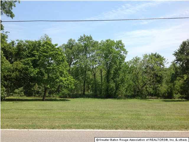 ROAD FRONT VIEW OF LOT