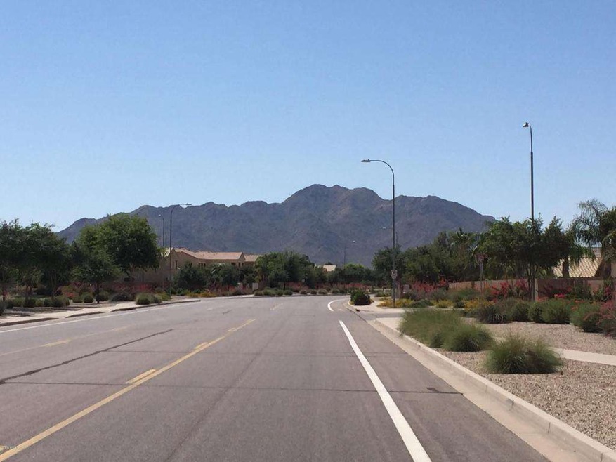 Road to Sun Groves