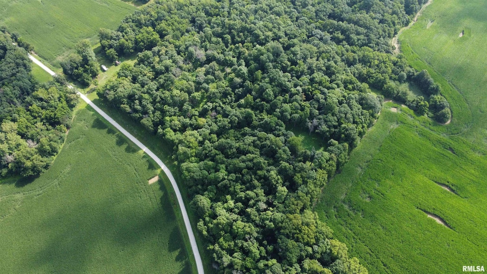 000 205th St, Kinderhook, IL 62345 - photo 1