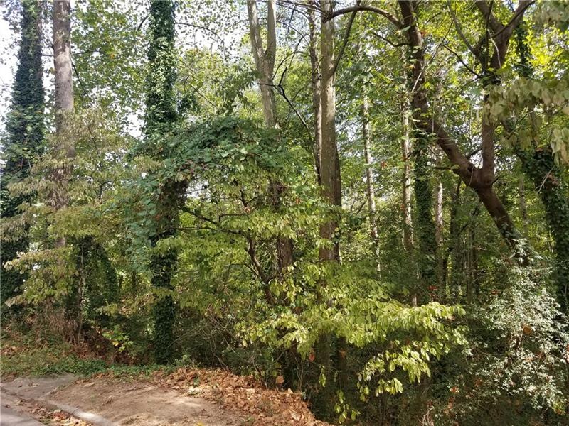 1242 Springdale Rd, Gainesville, GA 30501 - photo 1