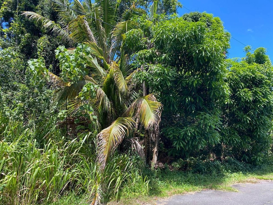 Sold $34,000 • Co-Listing Agent