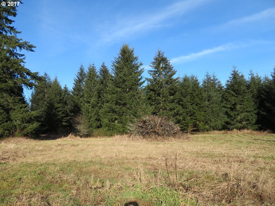 0 Cousins Rd unit 3 17223585, Chehalis, WA 98532 - photo 1