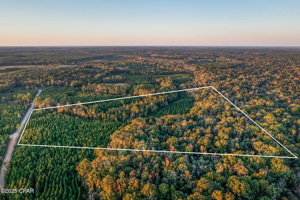 XXX Open Creek Rd unit South Lot, Chipley, FL 32425 - photo 1