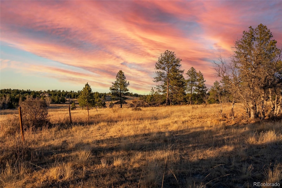 10421 Remmick Ridge Rd, Parker, CO 80134 - photo 1