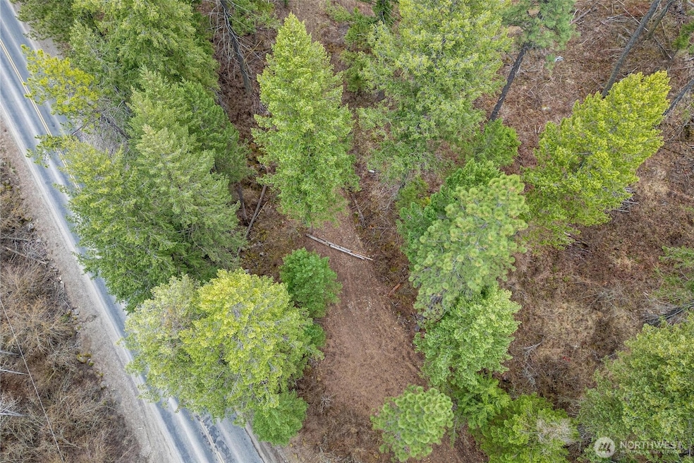 4700 E Deer Park Milan Rd, Chattaroy, WA 99003 - photo 1