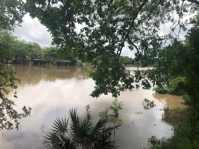 3103 County Road 310, Brazoria, TX 77422 - photo 1