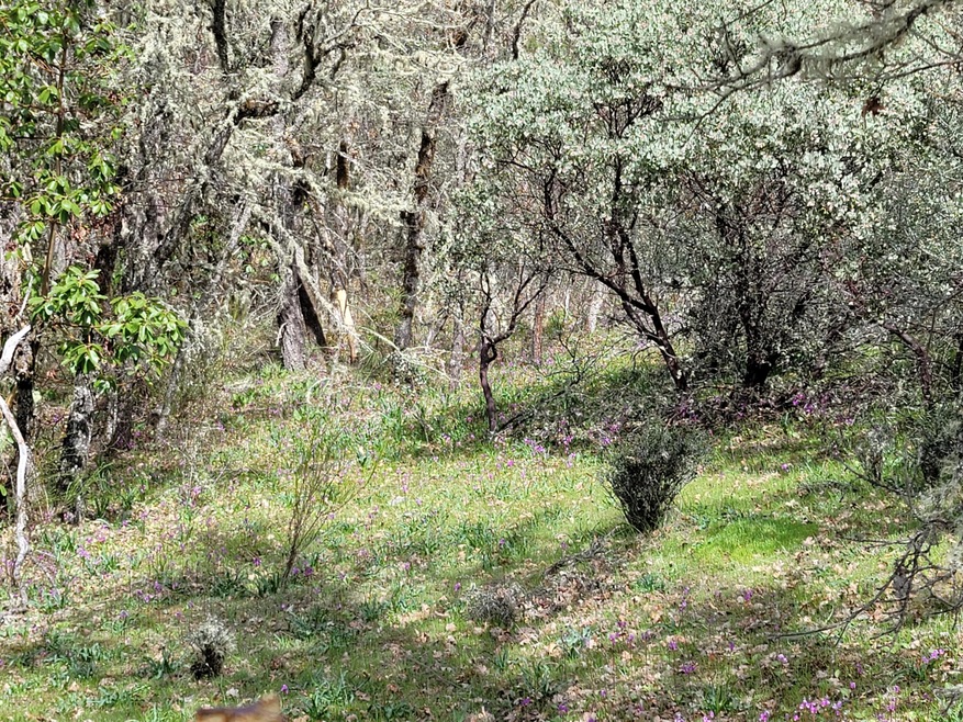 6998 Lower River Rd, Grants Pass, OR 97526 - photo 1