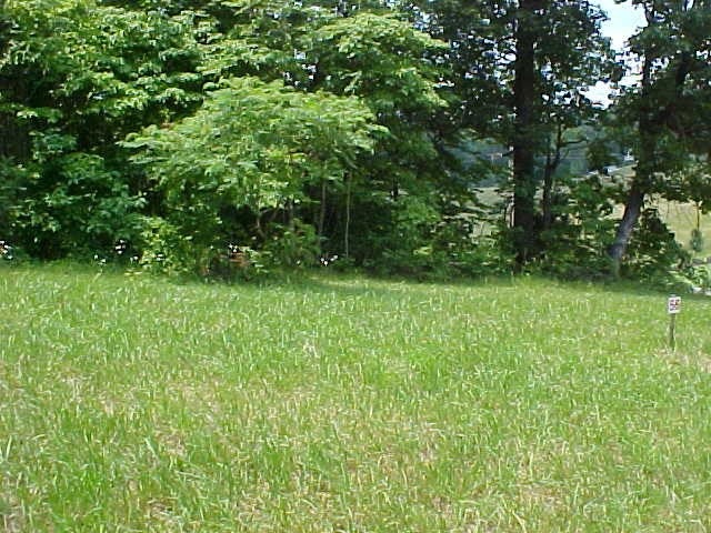 Lot 55 Cherokee Dr, Rutledge, TN 37861 - photo 1