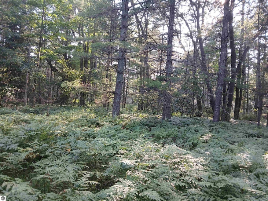 Sold $67,100 • Co-Listing Agent