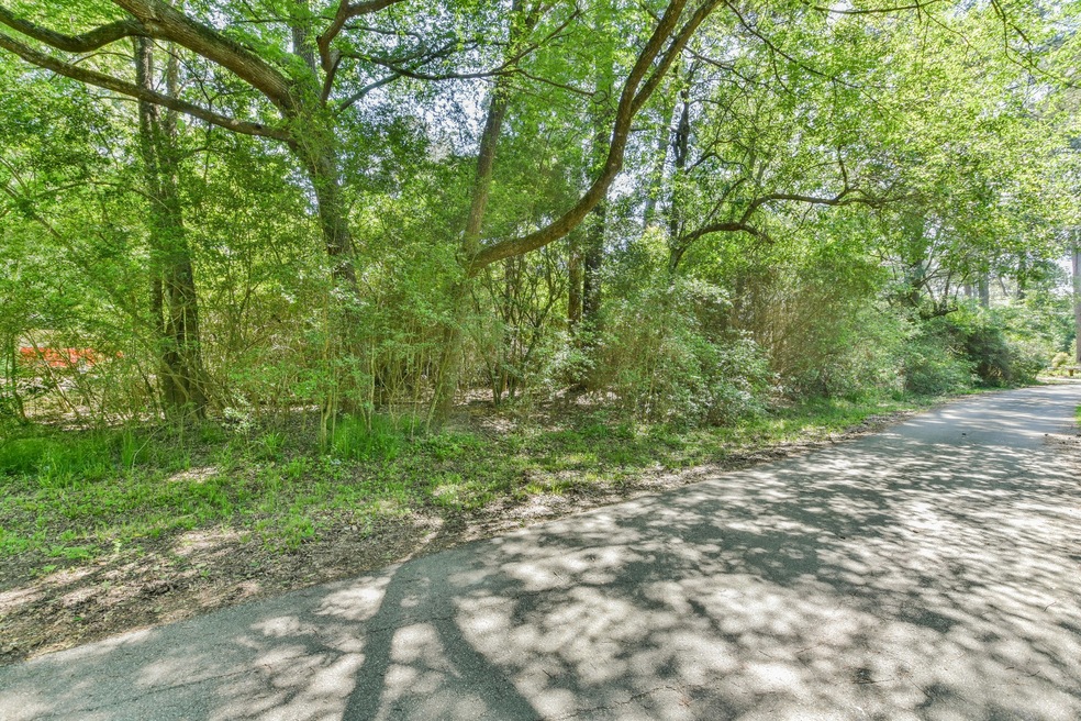 00 Warbler Way, Holly Springs, TX 77447 - photo 1