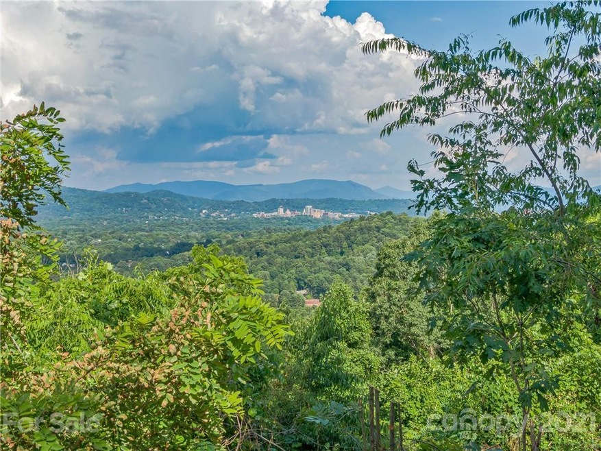 28 Bird's Eye View Dr unit 52, Asheville, NC 28806 - photo 1