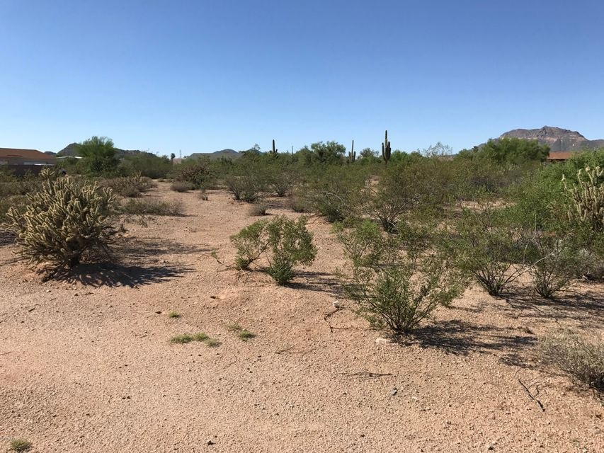 10516 E Dennis St unit 1058, Mesa, AZ 85207 - photo 1