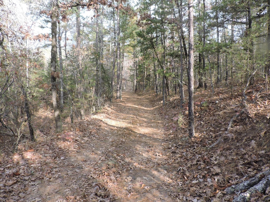 OFF Cold Spring Rd, Waldron, AR 72958 - photo 1