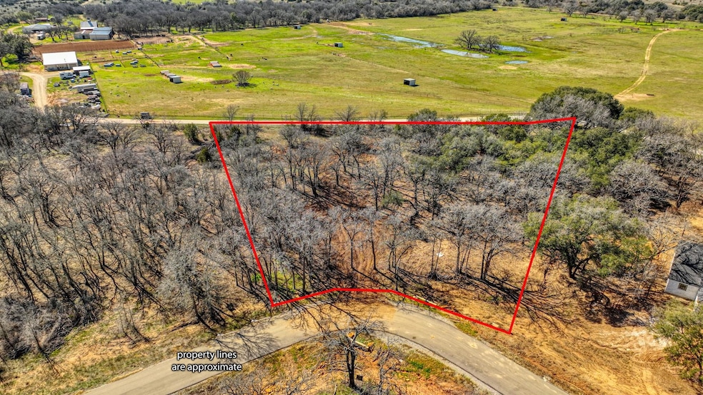 170 Hansma Way, Weatherford, TX 76087 - photo 1