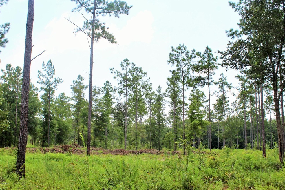 9ac Homestead, Lucedale, MS 39452 - photo 1