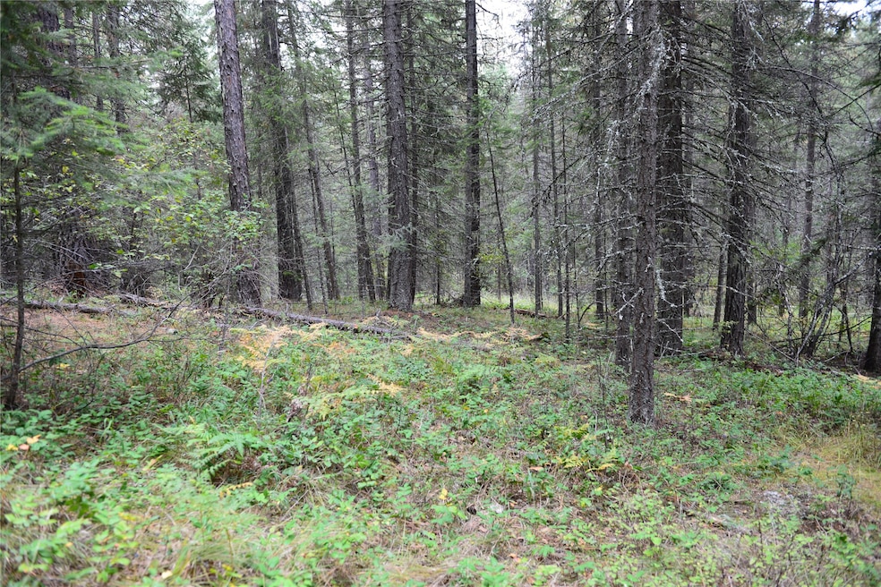 Nhn Fox Ln, Trout Creek, MT 59874 - photo 1