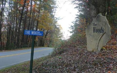 LOT 7 The Woods Rd, Mineral Bluff, GA 30559 - photo 1