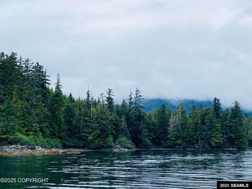 0 Legal Address Only unit Lot 4, Parcel E, US, Hollis, AK 99921 - photo 1