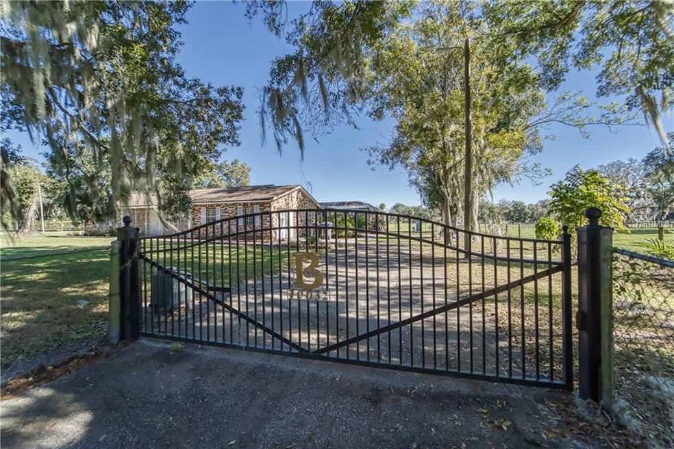 Electric Gate