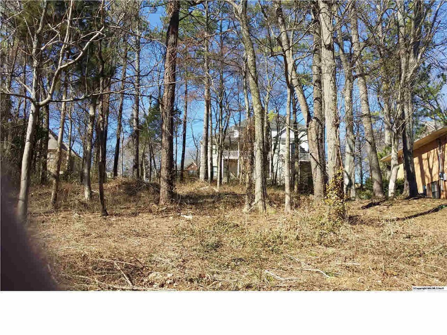 0 High Rd unit 530413, Madison, AL 35758 - photo 1