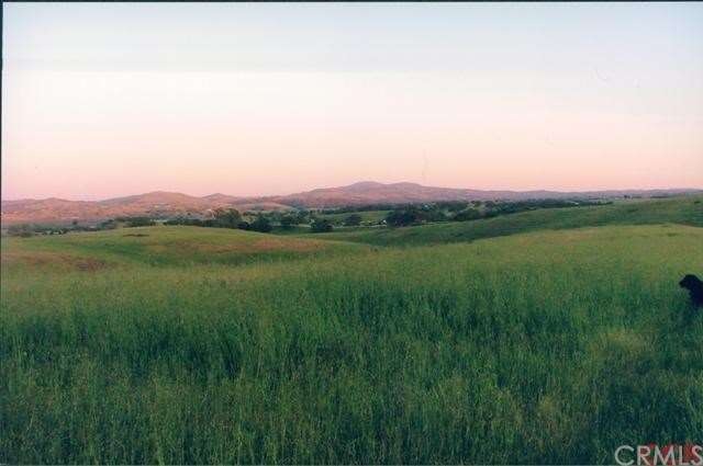 Yes, It's Summer now, but this is why we dream of 